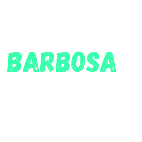 logo Barbosa Transportes